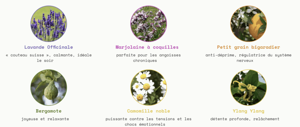 Six huiles essentielles pour un traitement naturel du stress chronique : lavande, marjolaine, petit grain bigaradier, bergamote, camomille et ylang ylang.