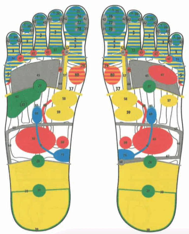 Carte colorée de réflexologie plantaire montrant les zones réflexes des pieds correspondant aux organes et émotions, utilisée en réflexologie émotionnelle pour libérer les blocages.