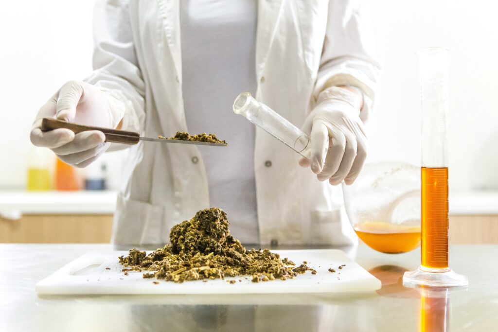 Extraction de propolis brute en laboratoire pour ses bienfaits sur l’immunité naturelle